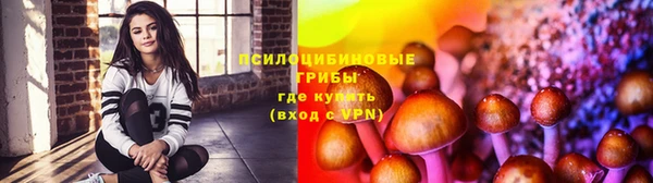 спиды Армянск