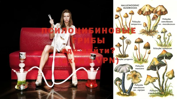спиды Армянск