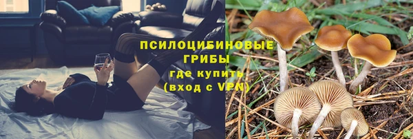 спиды Армянск