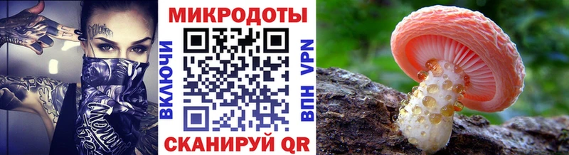 Псилоцибиновые грибы Magic Shrooms  купить наркоту  Рыбное 